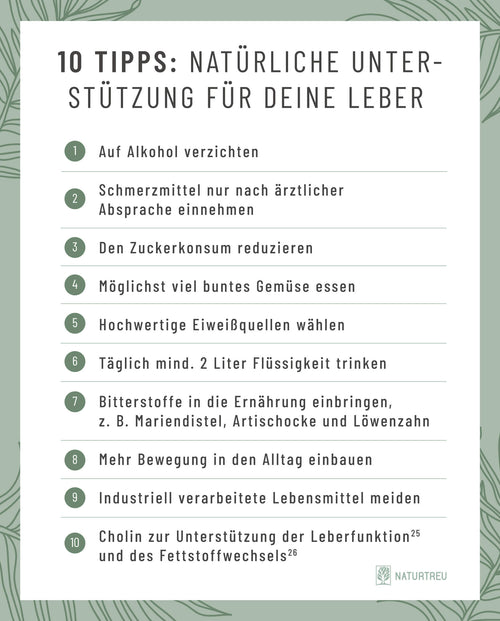 10 Tipps, um deine Leber zu entlasten 10 Tipps um die Leber zu entgiften