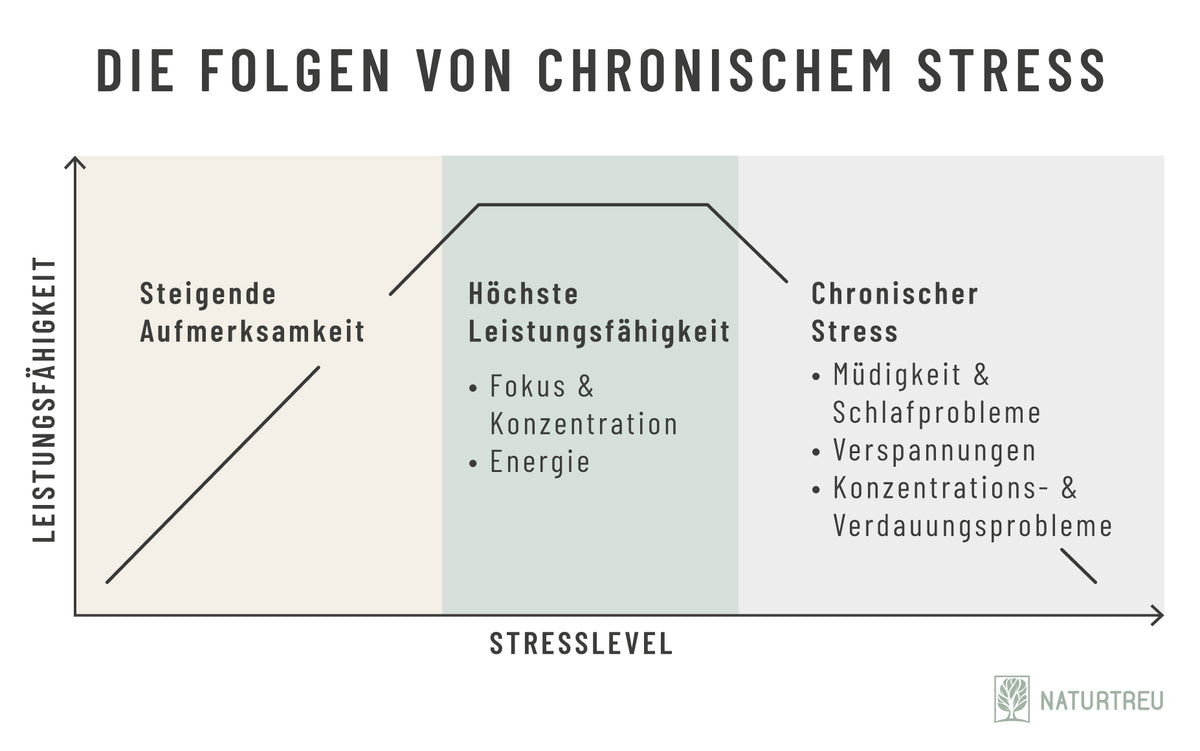 Grafik: Wie sich Stress auf Körper und Psyche auswirkt 
