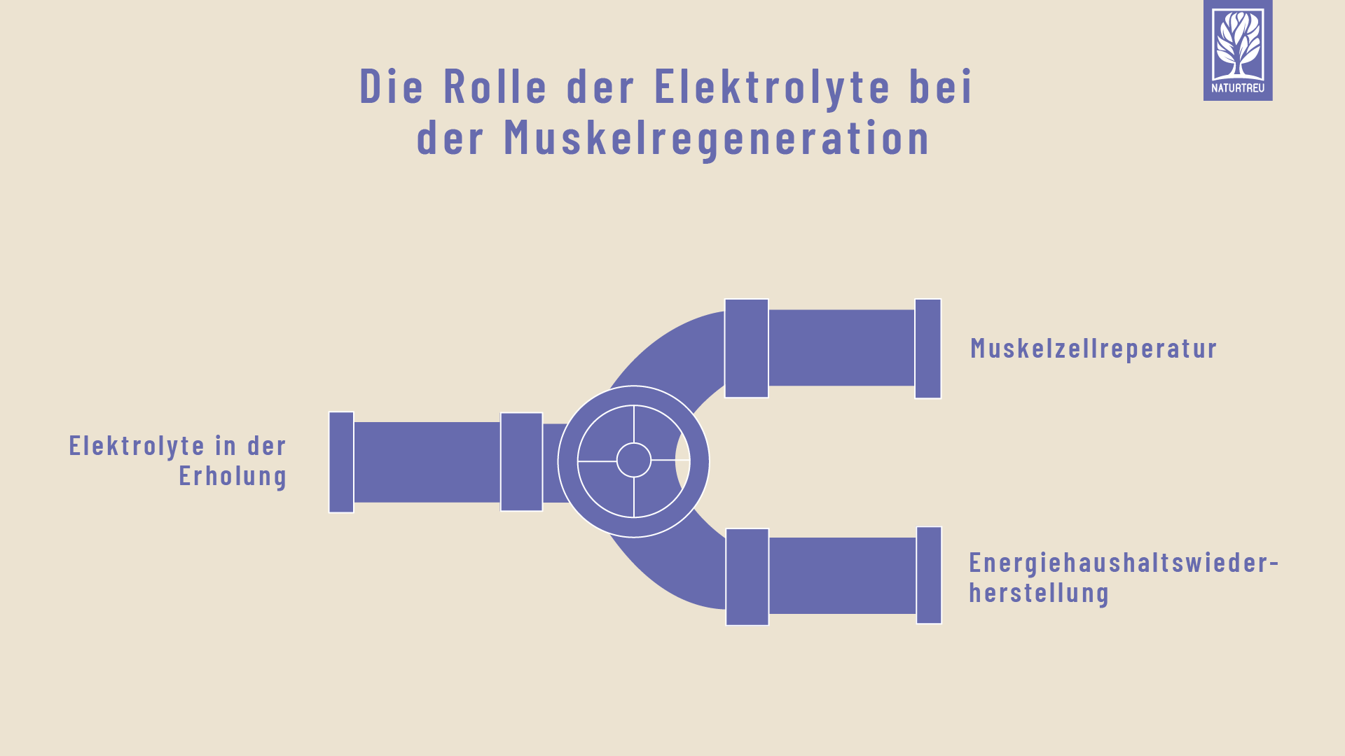 ELQU_Grafiken_Zeichenfläche 1-01.png__PID:d5d4193c-dbae-41b0-b366-37aabb0207d9