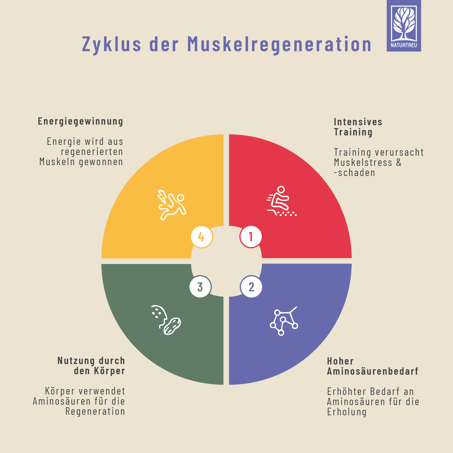 ELQU_Grafiken_Zeichenfläche 1-02.png__PID:5745ea49-b77b-487f-bb65-b8aa6e5c8e5f