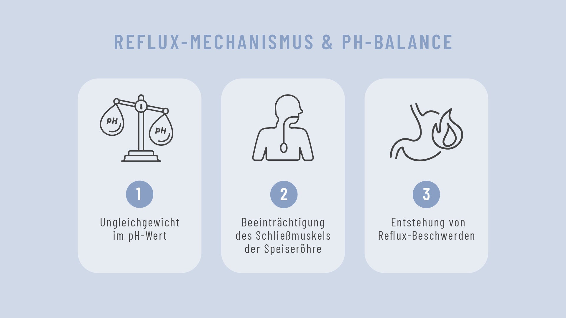 MABA_Blogbeitrag_Grafik1.jpg__PID:4c896ab1-3a12-4e2a-a060-fba483cdb7d8