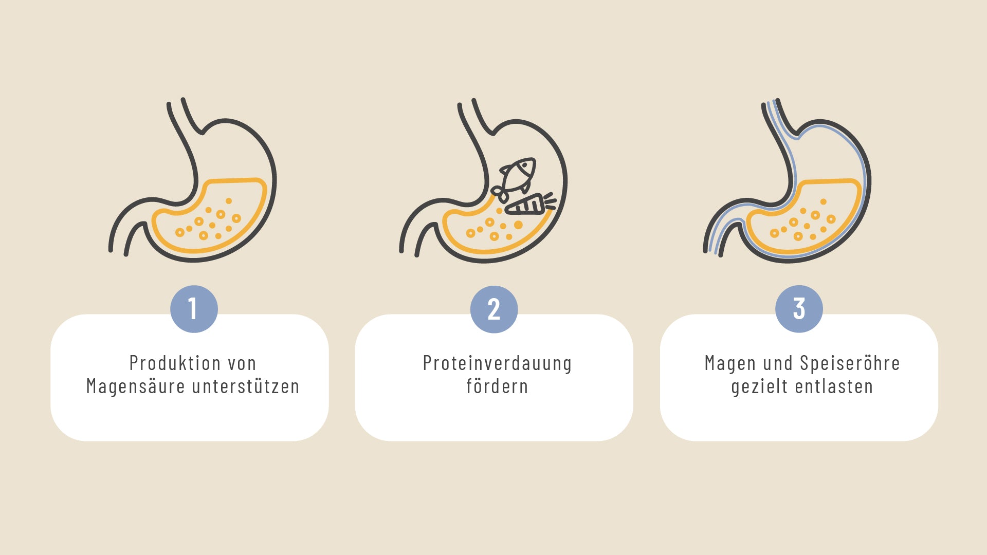 MABA_Blogbeitrag_Grafik2.jpg__PID:896ab13a-12be-4a60-a0fb-a483cdb7d809