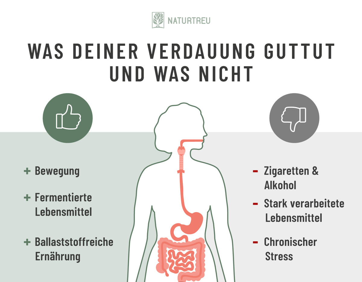 Tipps für das Mikrobiom