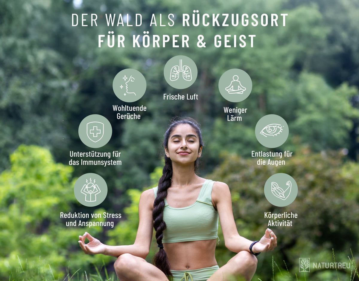 Der Wald als Rückzugsort für Körper & Geist 