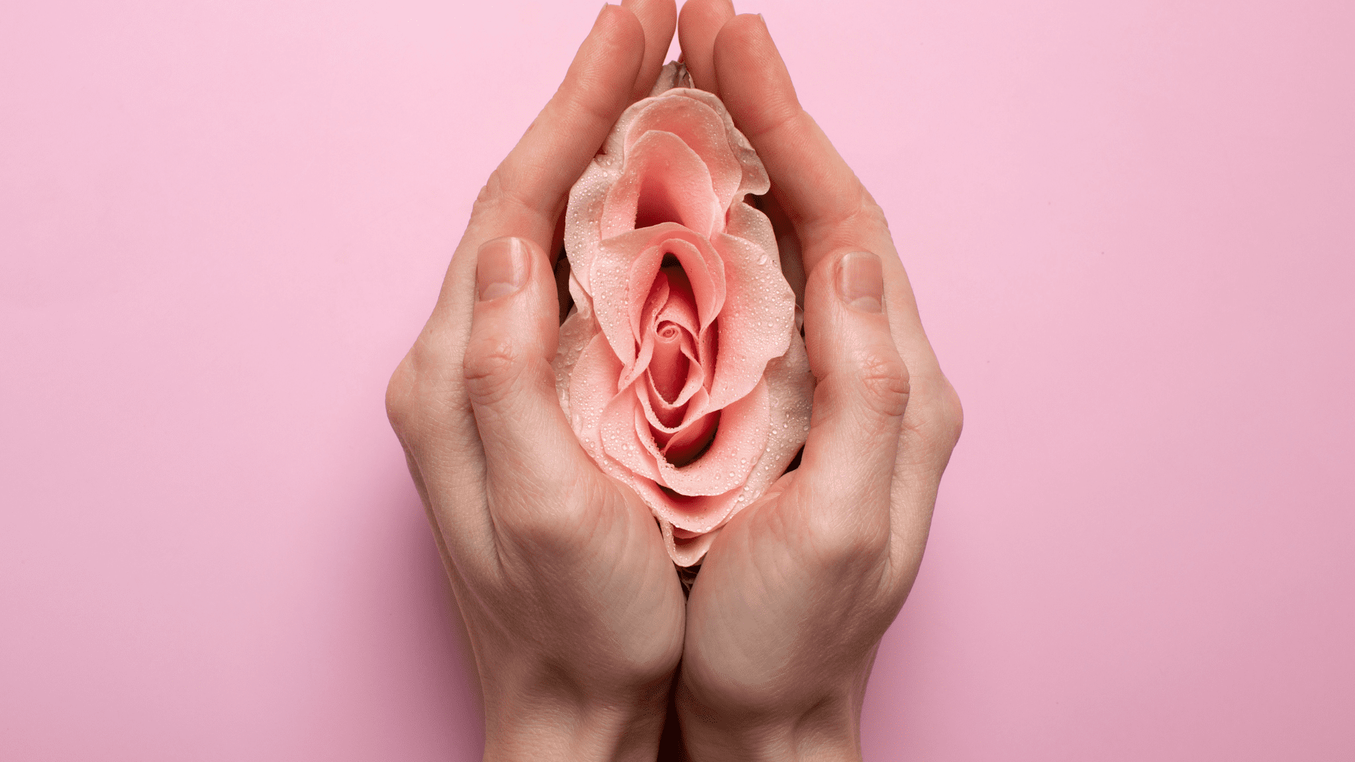 scheidenflora_titelbild.png__PID:d670185e-d3d2-42f7-81cb-0d35bb9e342f